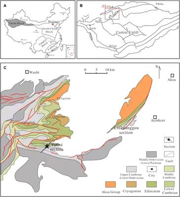 Mechanism of Organic Matter Accumulation in Black Shales of the Yuertusi Formation in the Tarim Basin: Insights From Paleoenvironmental Variation During the Early Cambrian